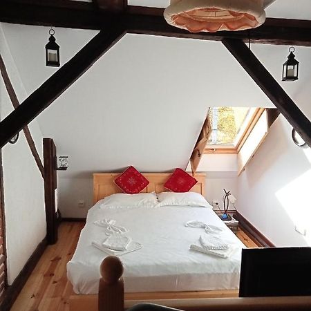 Residence Goelsch 161 Sînpetru Zewnętrze zdjęcie