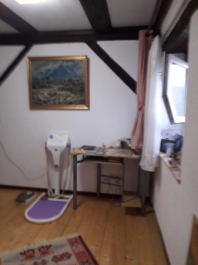 Residence Goelsch 161 Sînpetru Zewnętrze zdjęcie