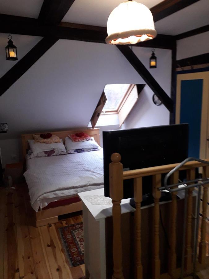 Residence Goelsch 161 Sînpetru Zewnętrze zdjęcie