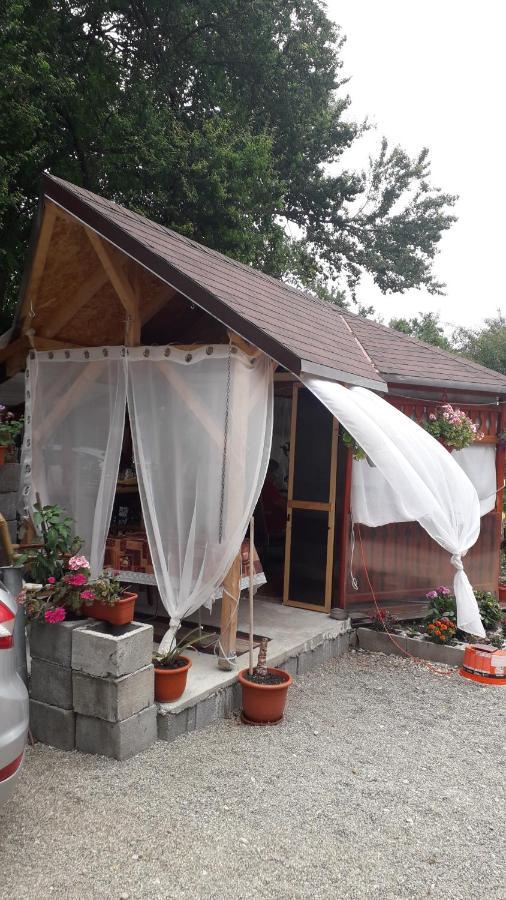 Residence Goelsch 161 Sînpetru Zewnętrze zdjęcie