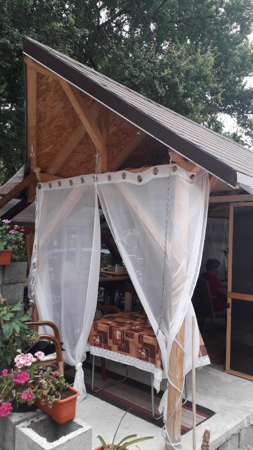 Residence Goelsch 161 Sînpetru Zewnętrze zdjęcie