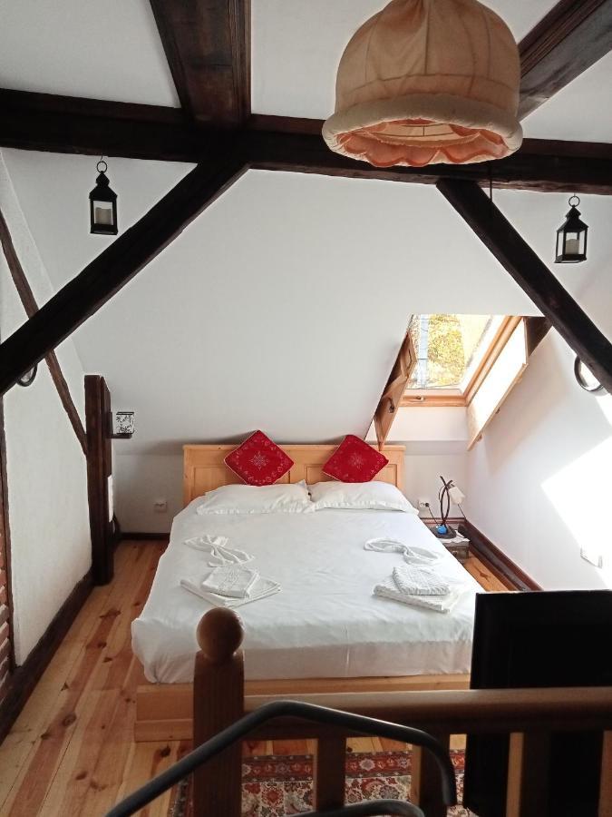 Residence Goelsch 161 Sînpetru Zewnętrze zdjęcie