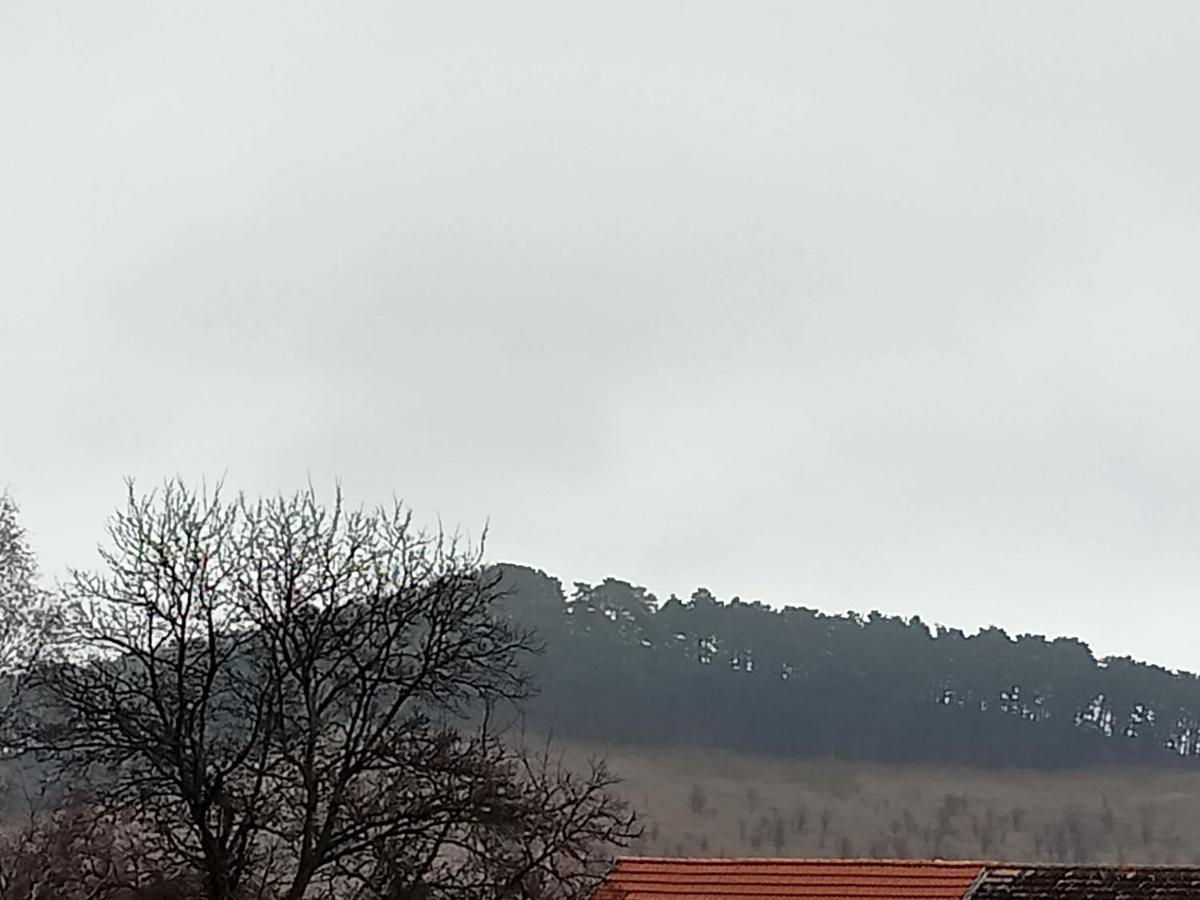 Residence Goelsch 161 Sînpetru Zewnętrze zdjęcie